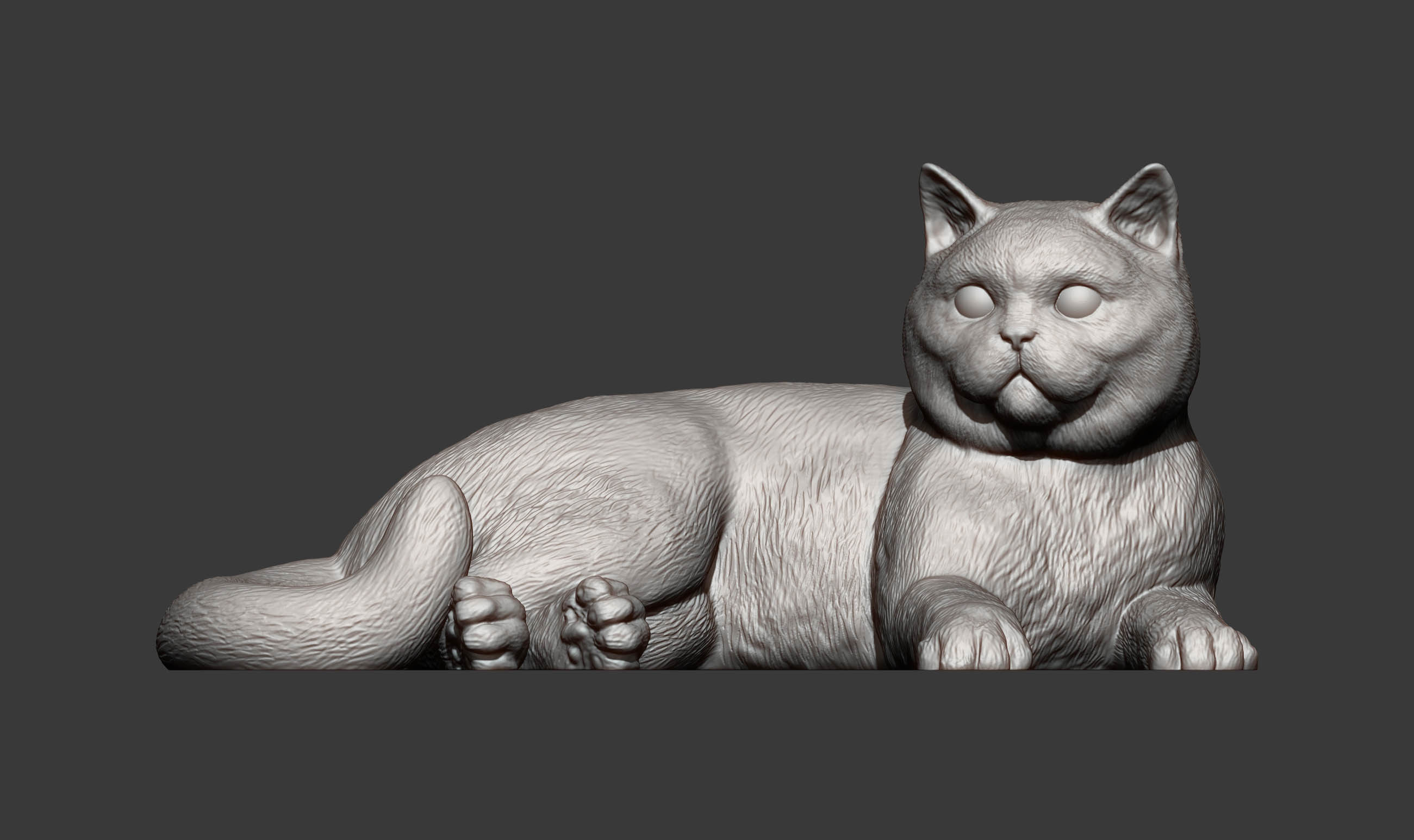 british shorthair cat 3D print model_8