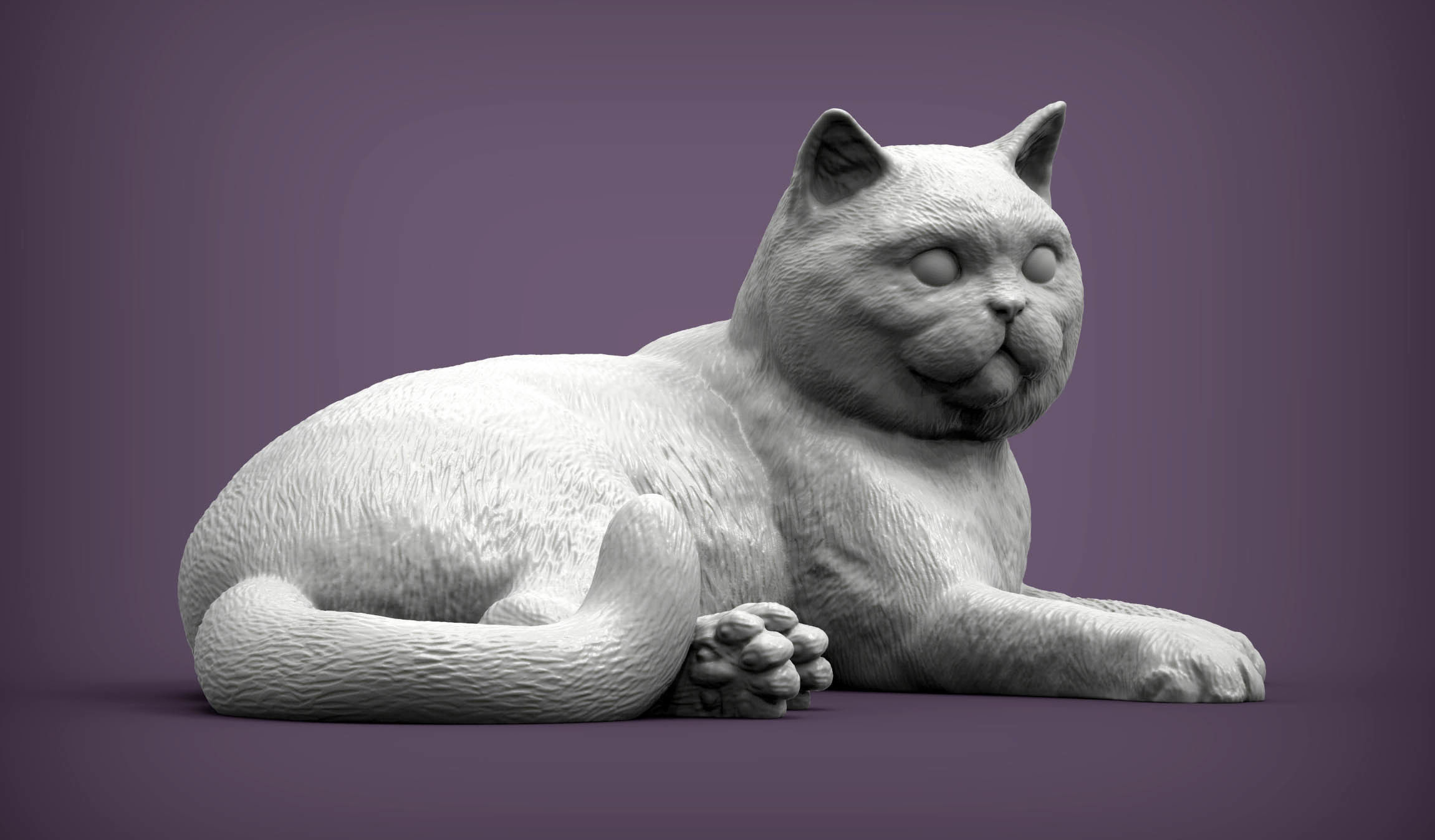 british shorthair cat 3D print model_2