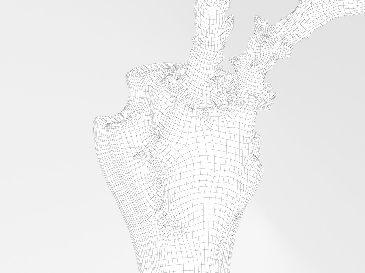 Deer Antler Collection 3D model_17