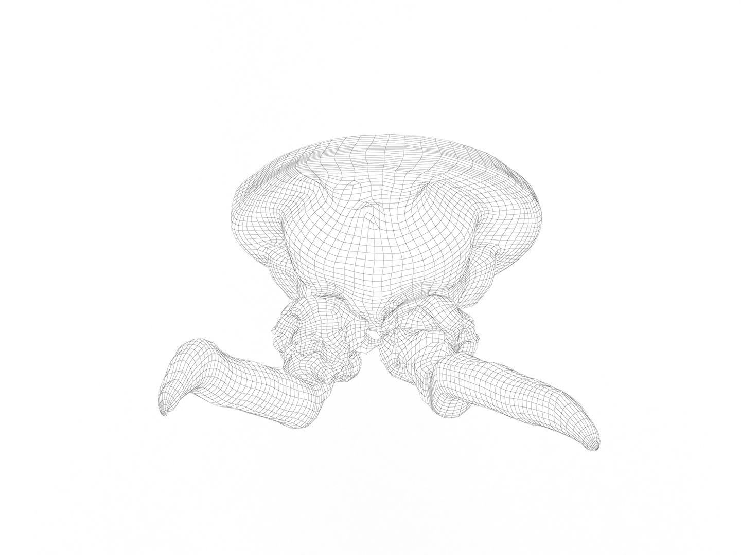 Deer Antler Collection 3D model_35