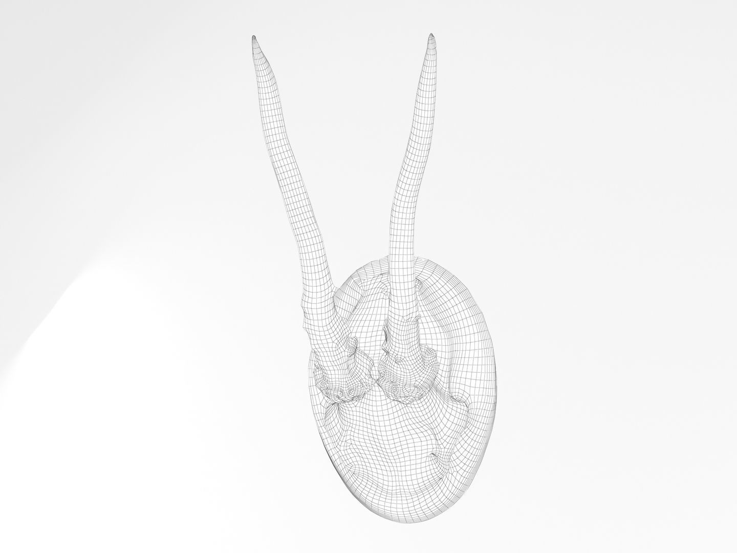 Deer Antler Collection 3D model_28