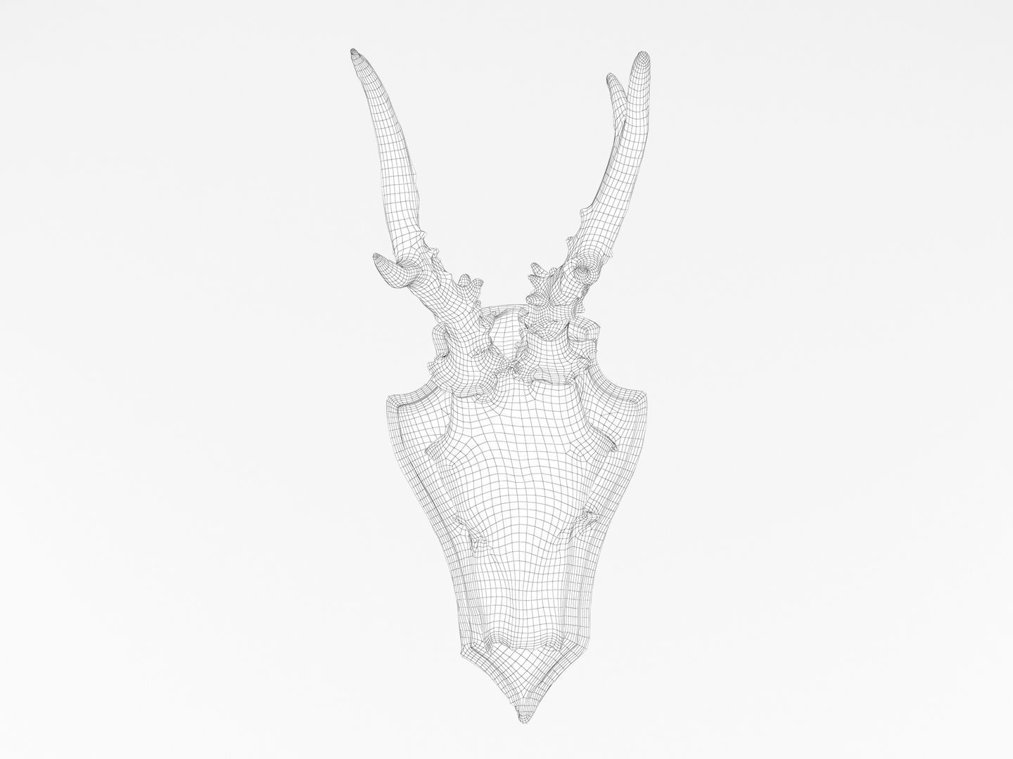 Deer Antler Collection 3D model_12