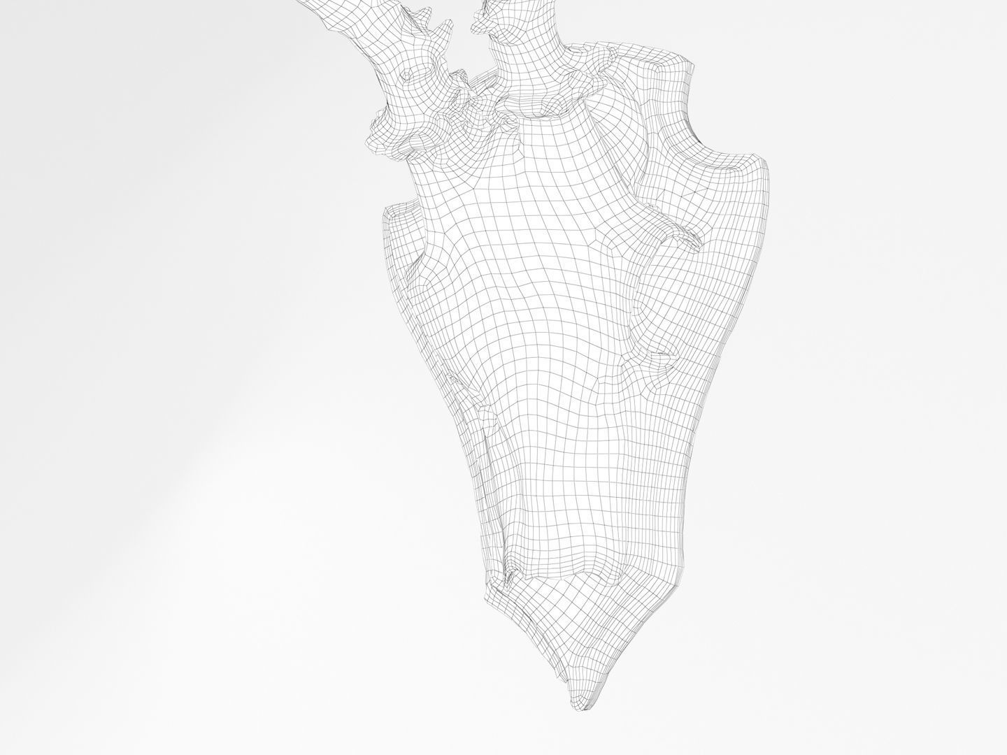 Deer Antler Collection 3D model_16