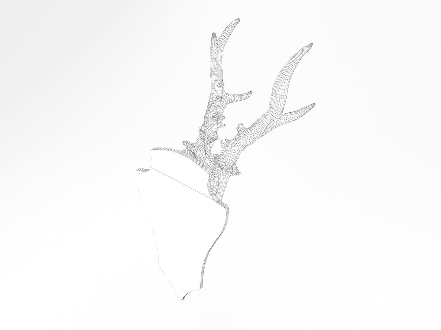 Deer Antler Collection 3D model_14