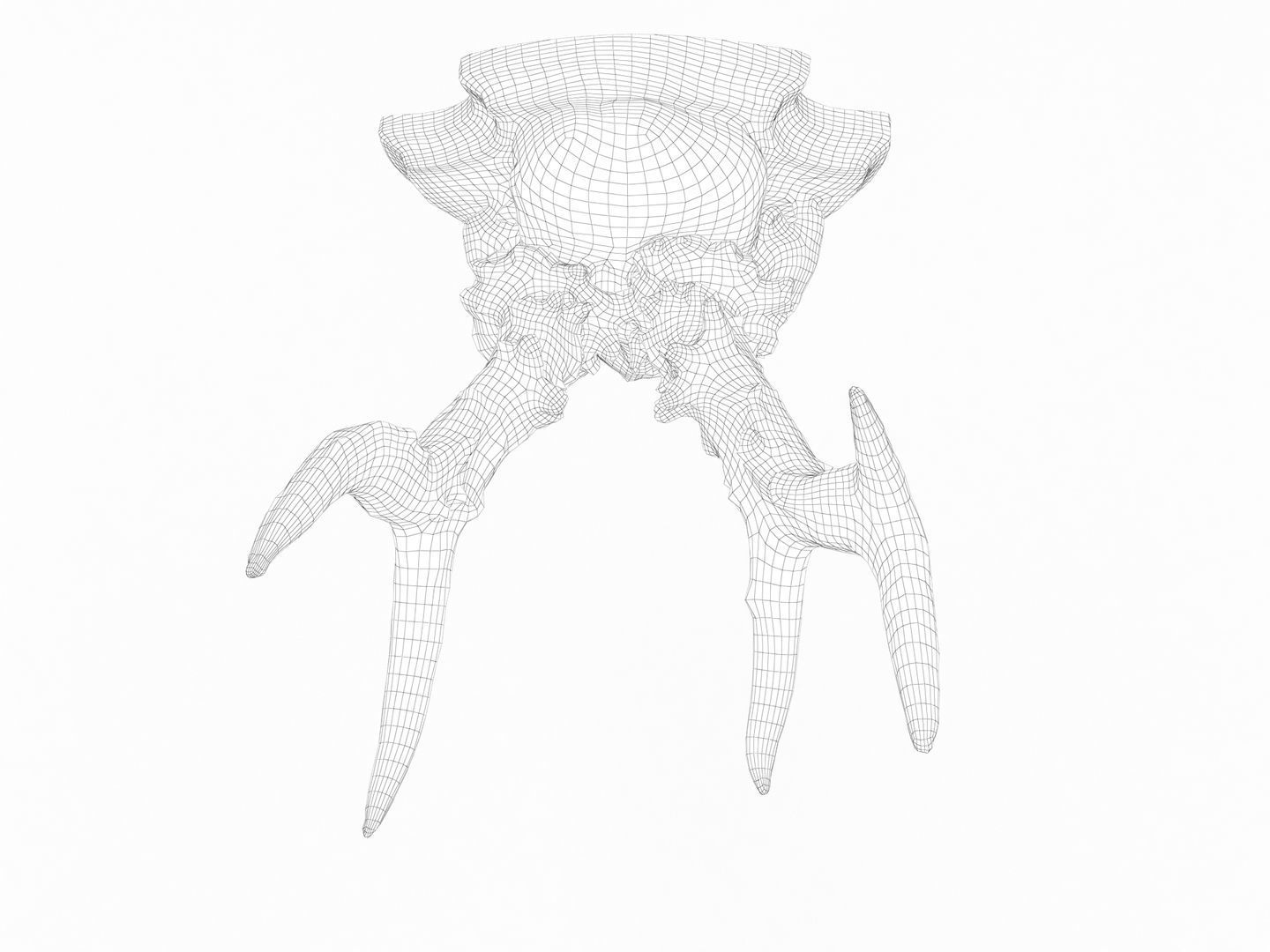 Deer Antler Collection 3D model_19