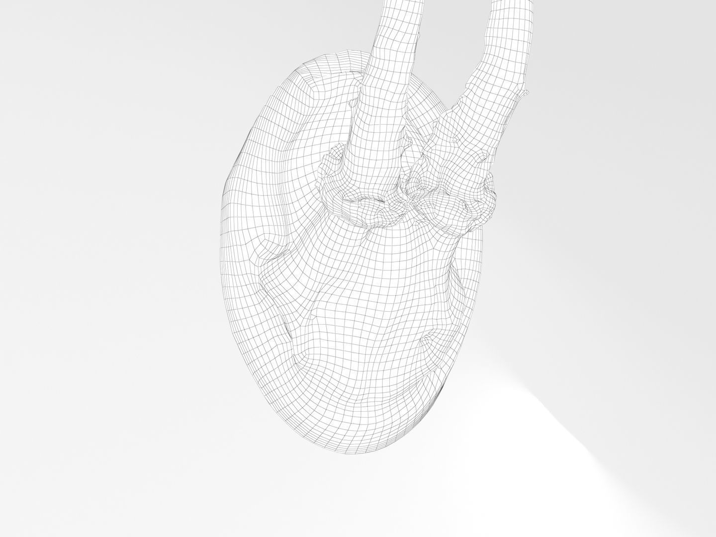 Deer Antler Collection 3D model_36