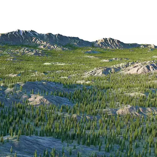landscape01 engelmann spruce 3D model