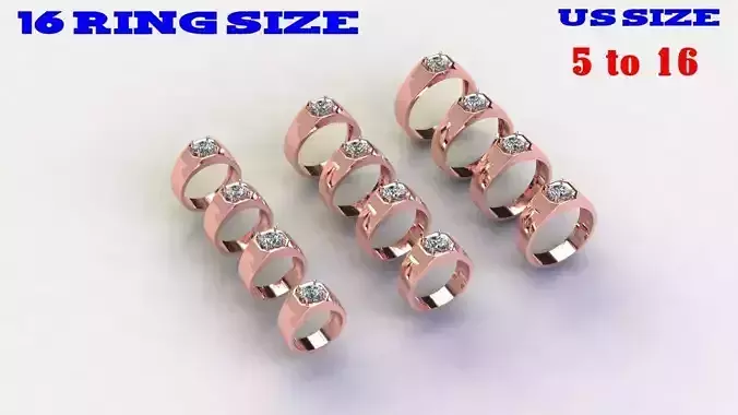 Ring with 12 different size US Signet