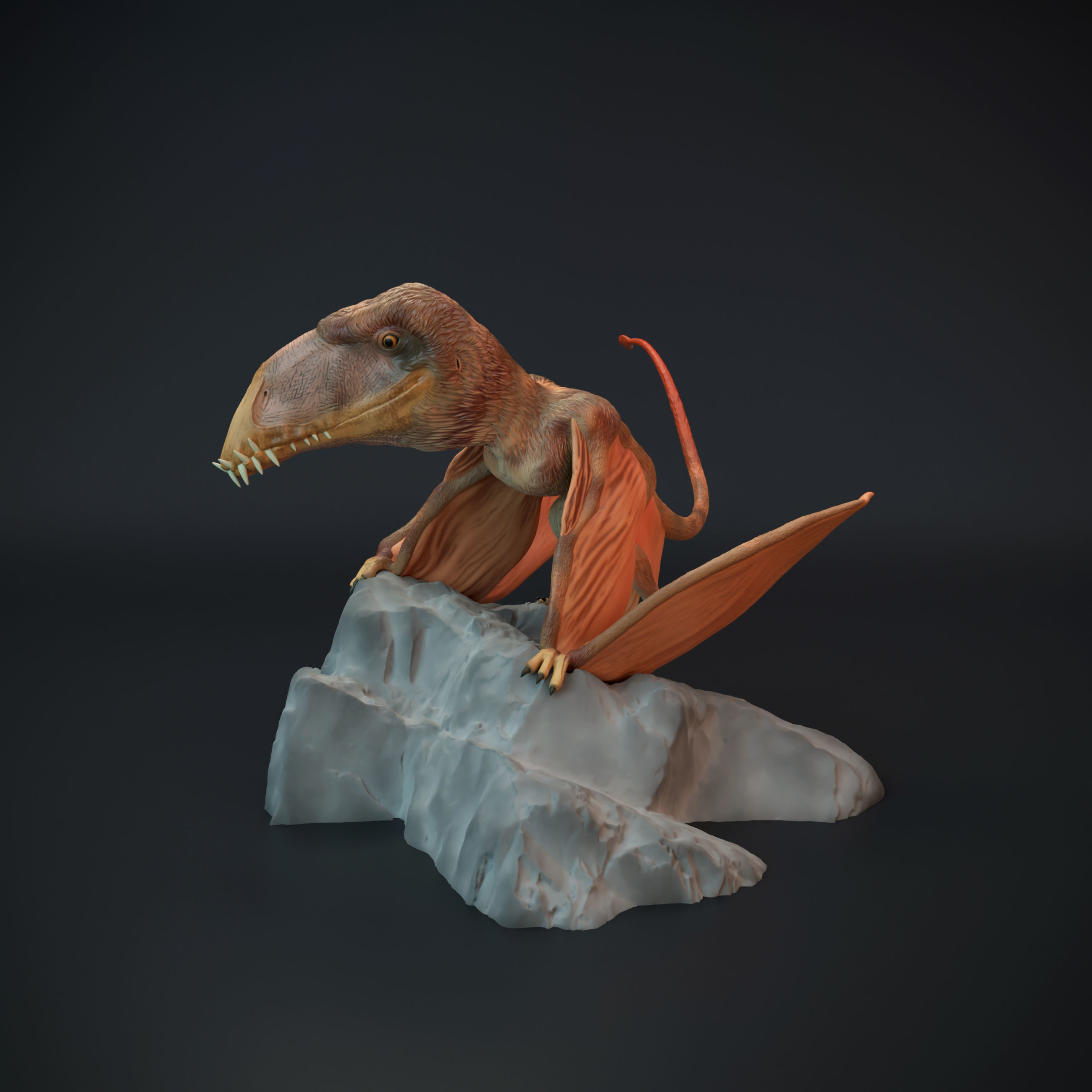 Dimorphodon sitting 3D print model_3