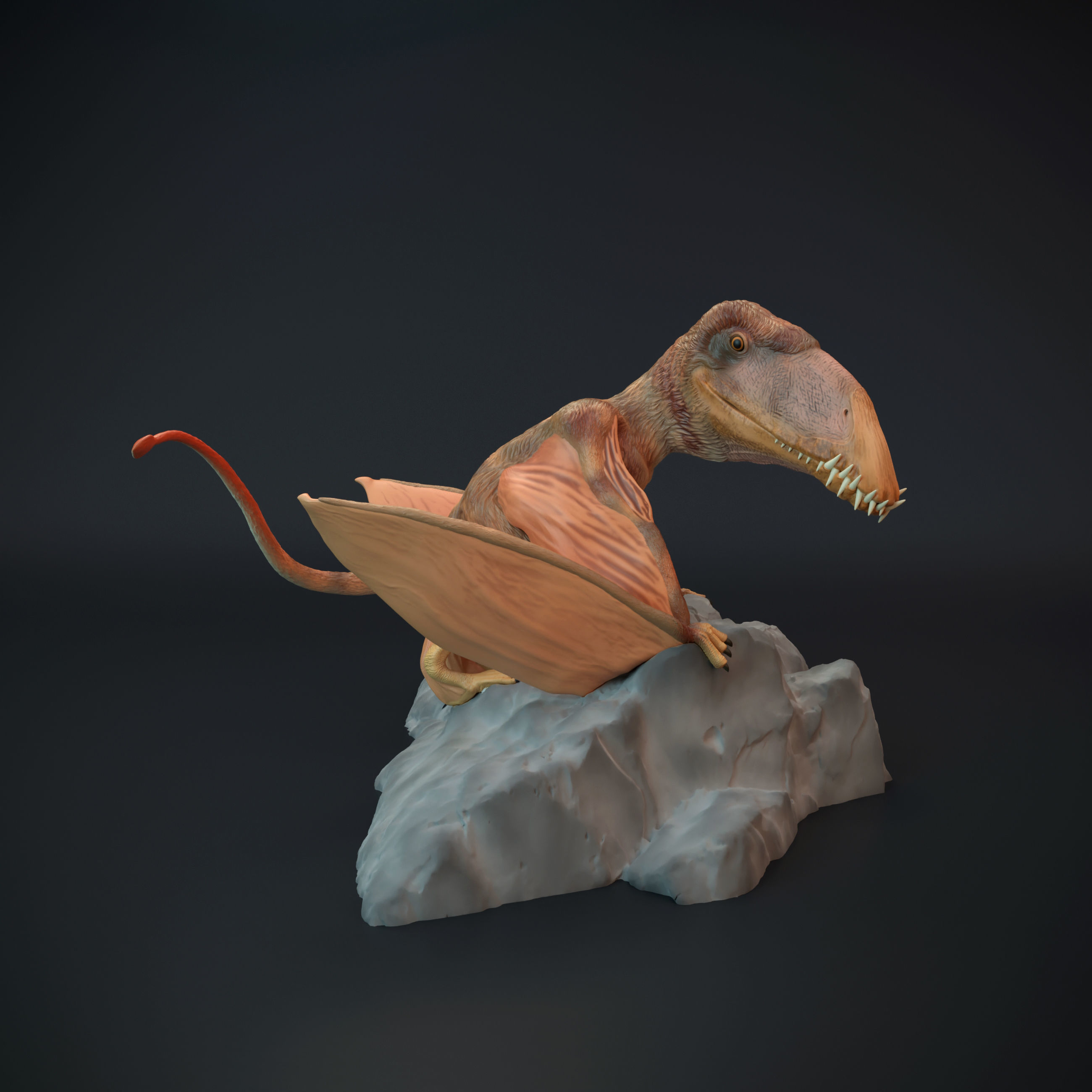 Dimorphodon sitting 3D print model_1