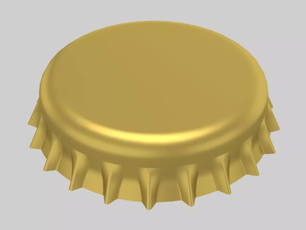 Cork Cap 3D model_0