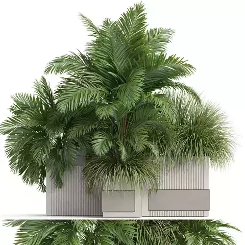 Plants collection 772