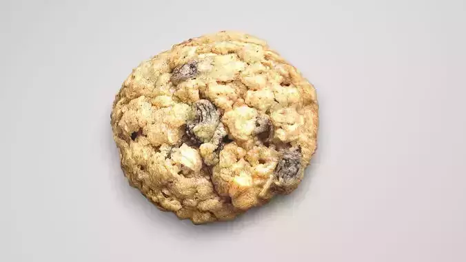 Oat Flakes Round Cracker 3D model