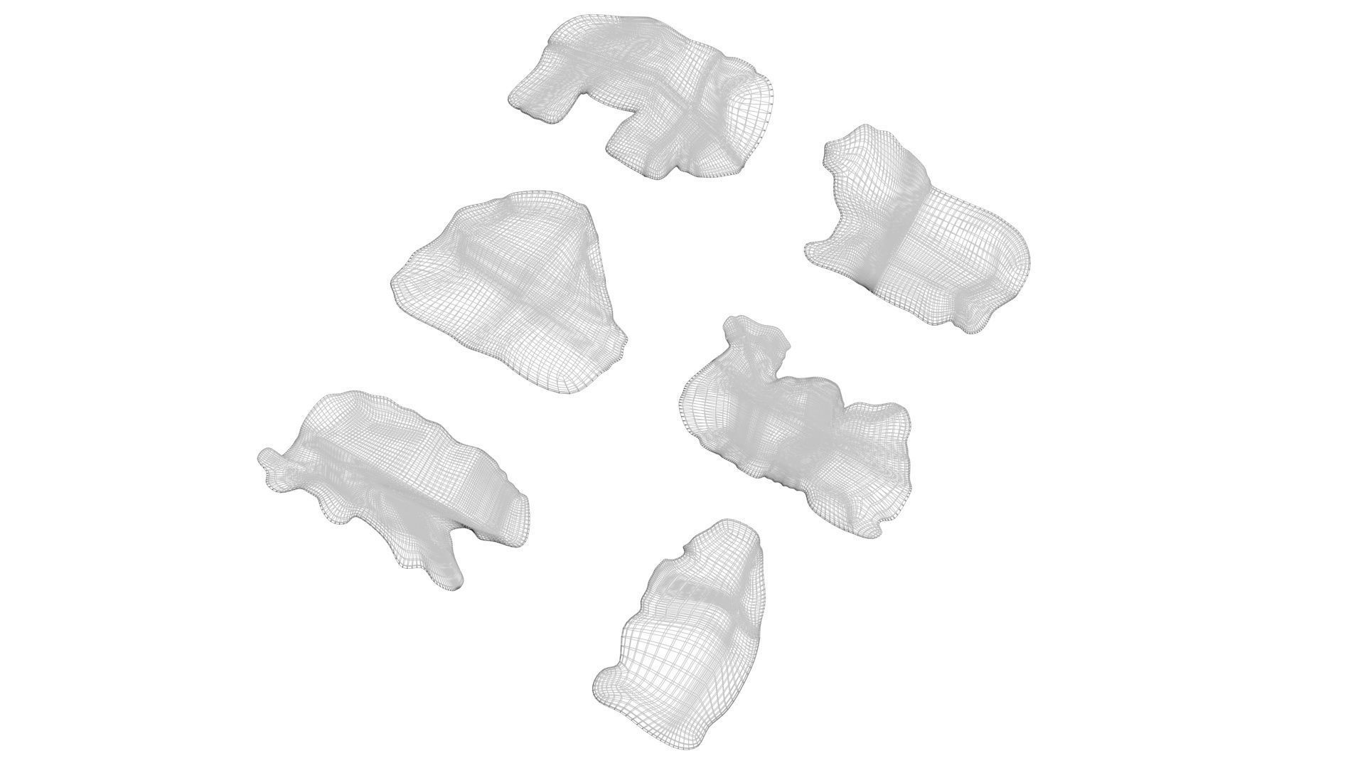 Animal Crackers 3D model_13