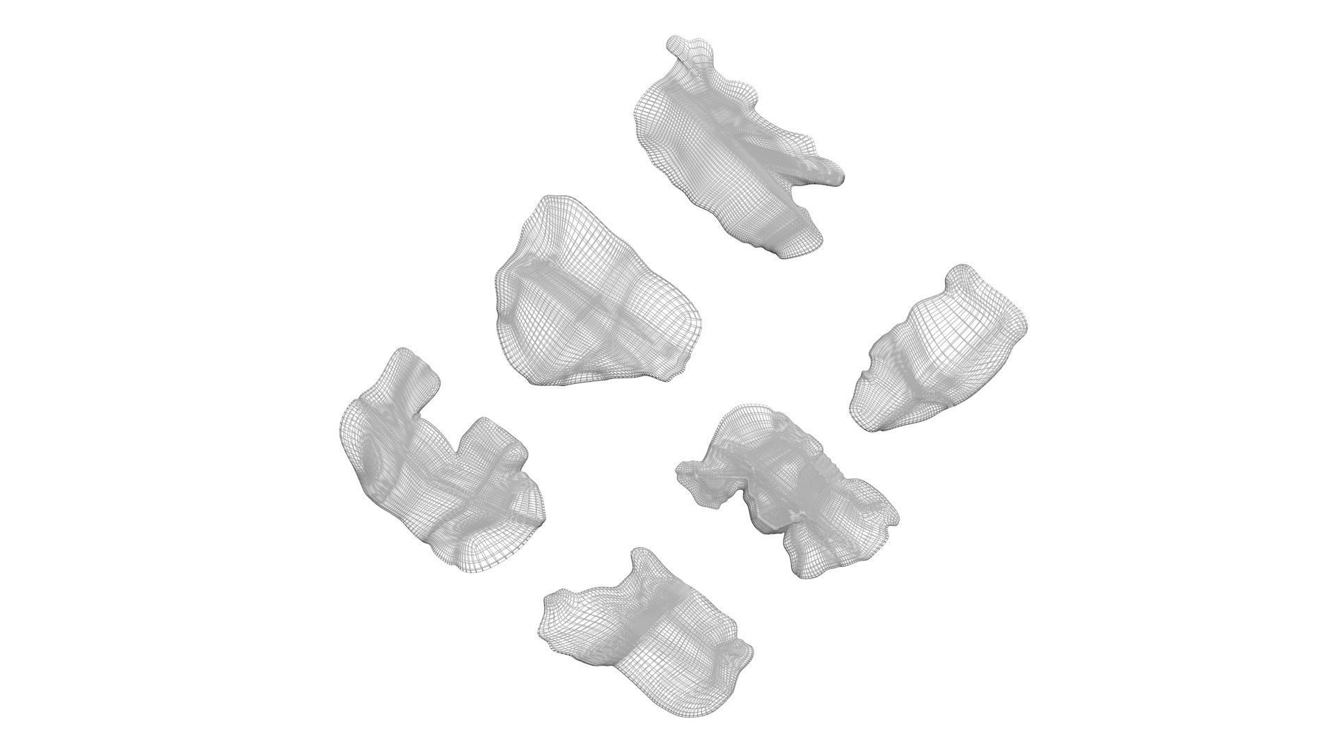 Animal Crackers 3D model_16