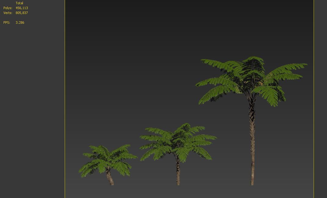 Tree fern 3D model_8