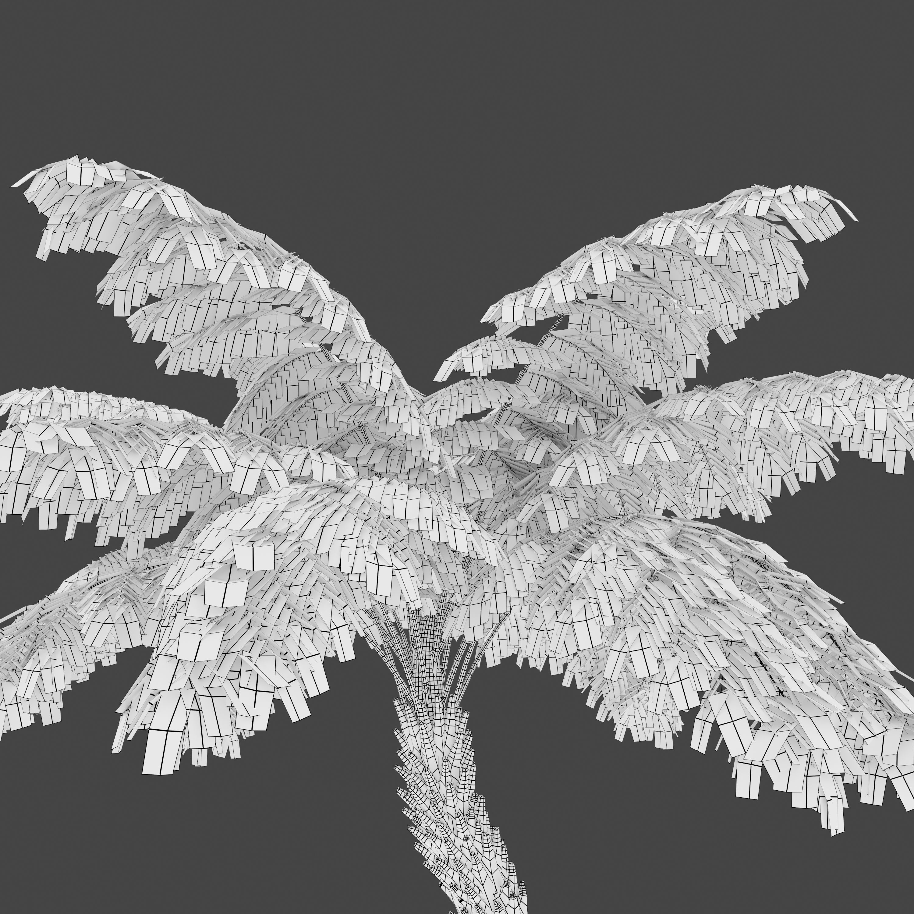 Tree fern 3D model_7