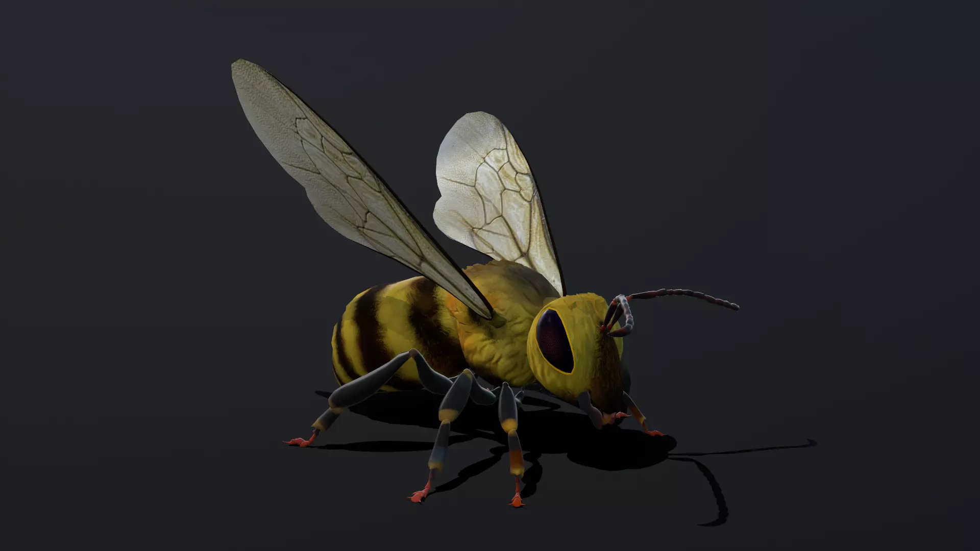 Bee low poly 3D model Low-poly 3D model