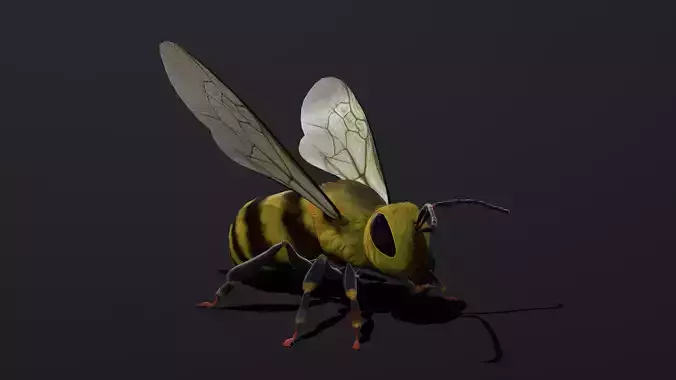 Bee low poly 3D model Low-poly 3D model