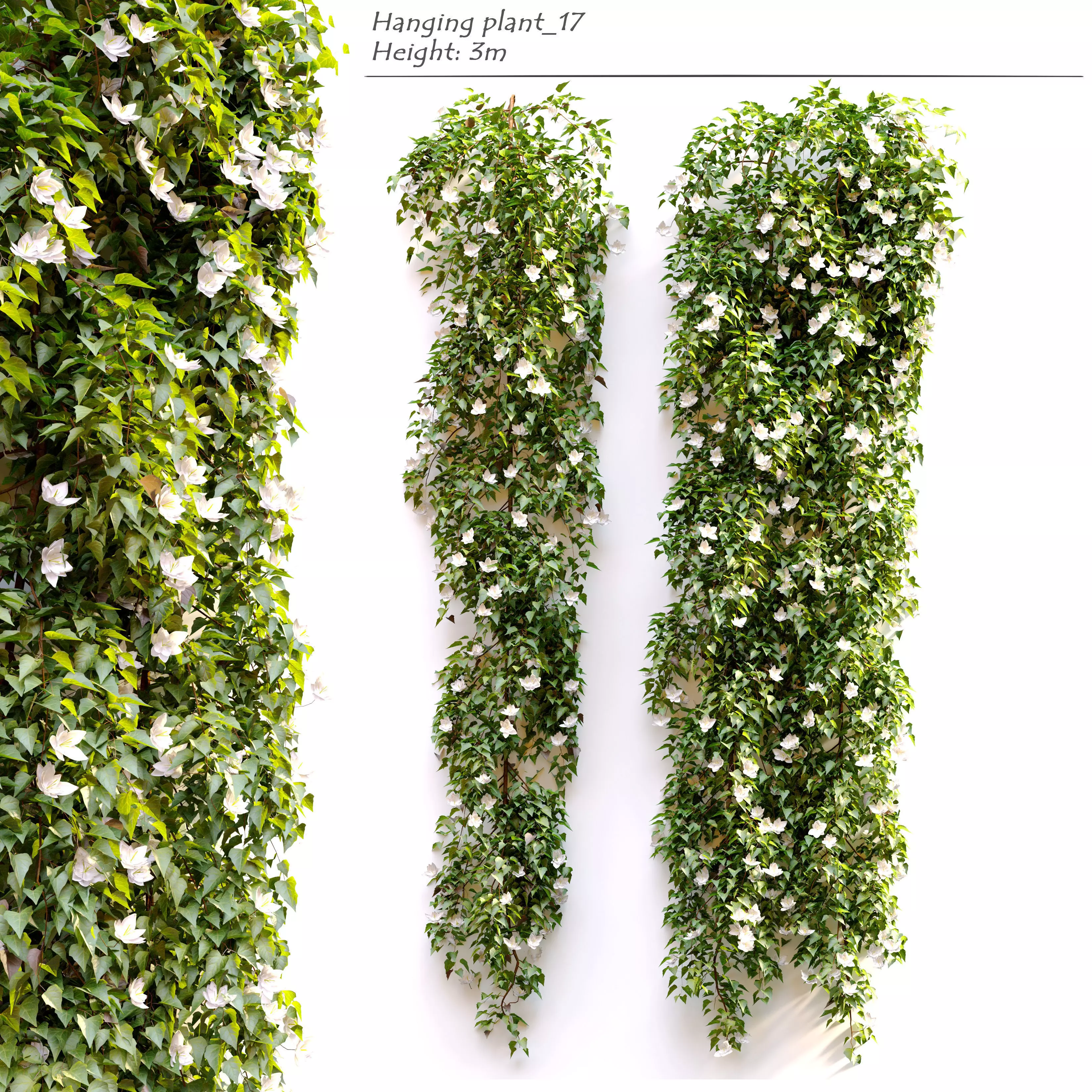 Hanging Plant 17 3D model_0