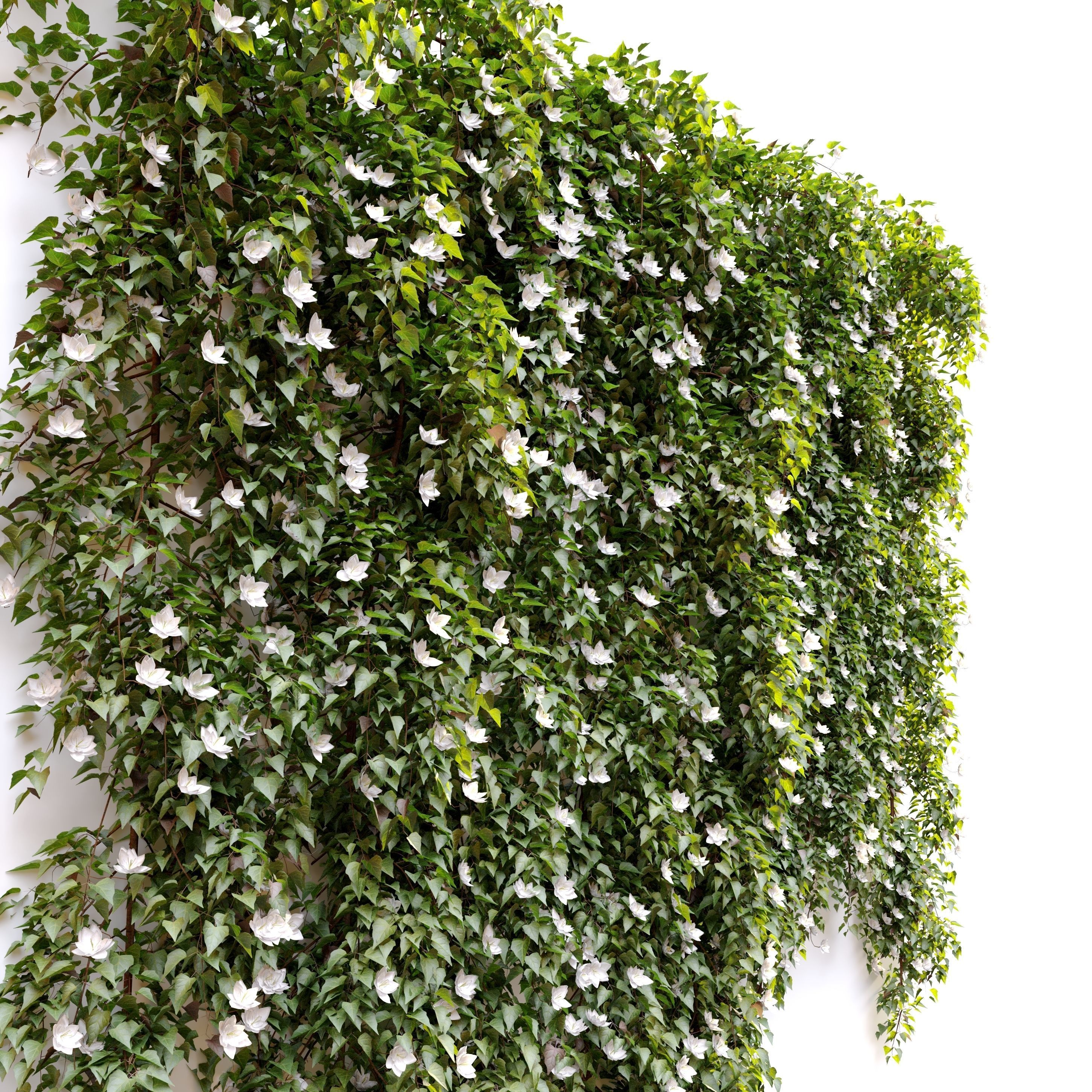 Hanging Plant 17 3D model_1