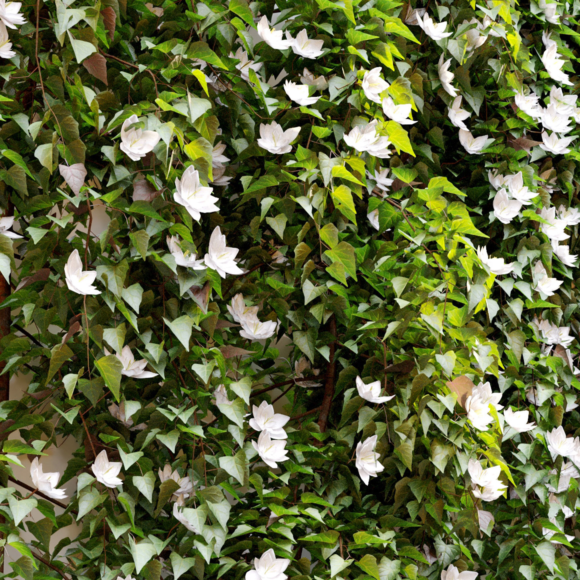 Hanging Plant 17 3D model_2