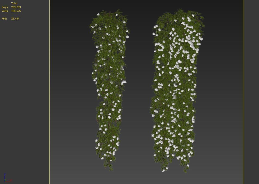 Hanging Plant 17 3D model_6