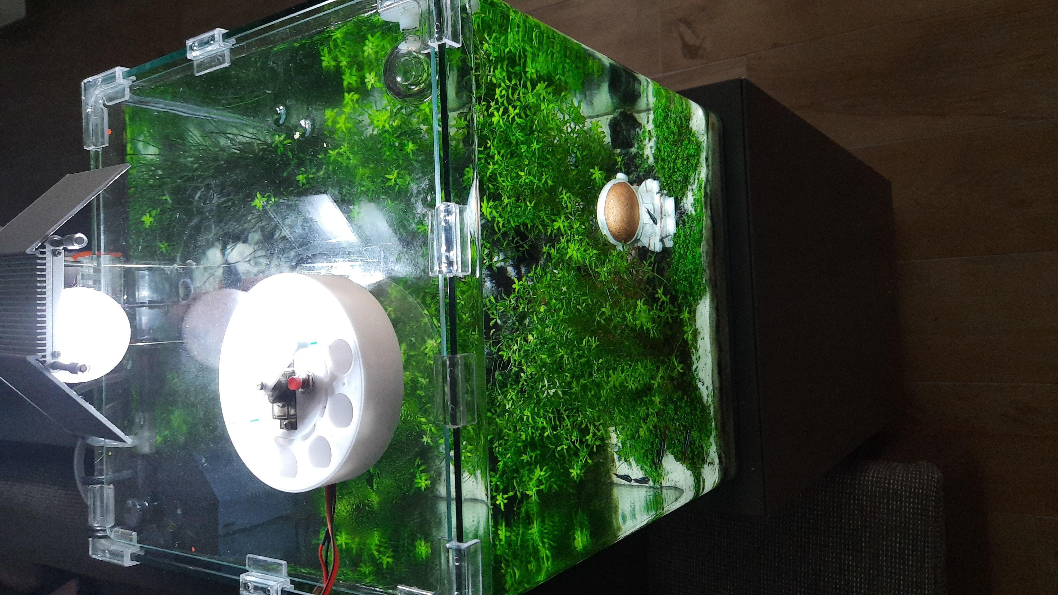 Automatic feeder 3D print model_2