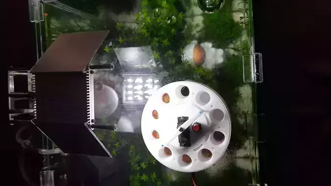 Automatic feeder 3D print model