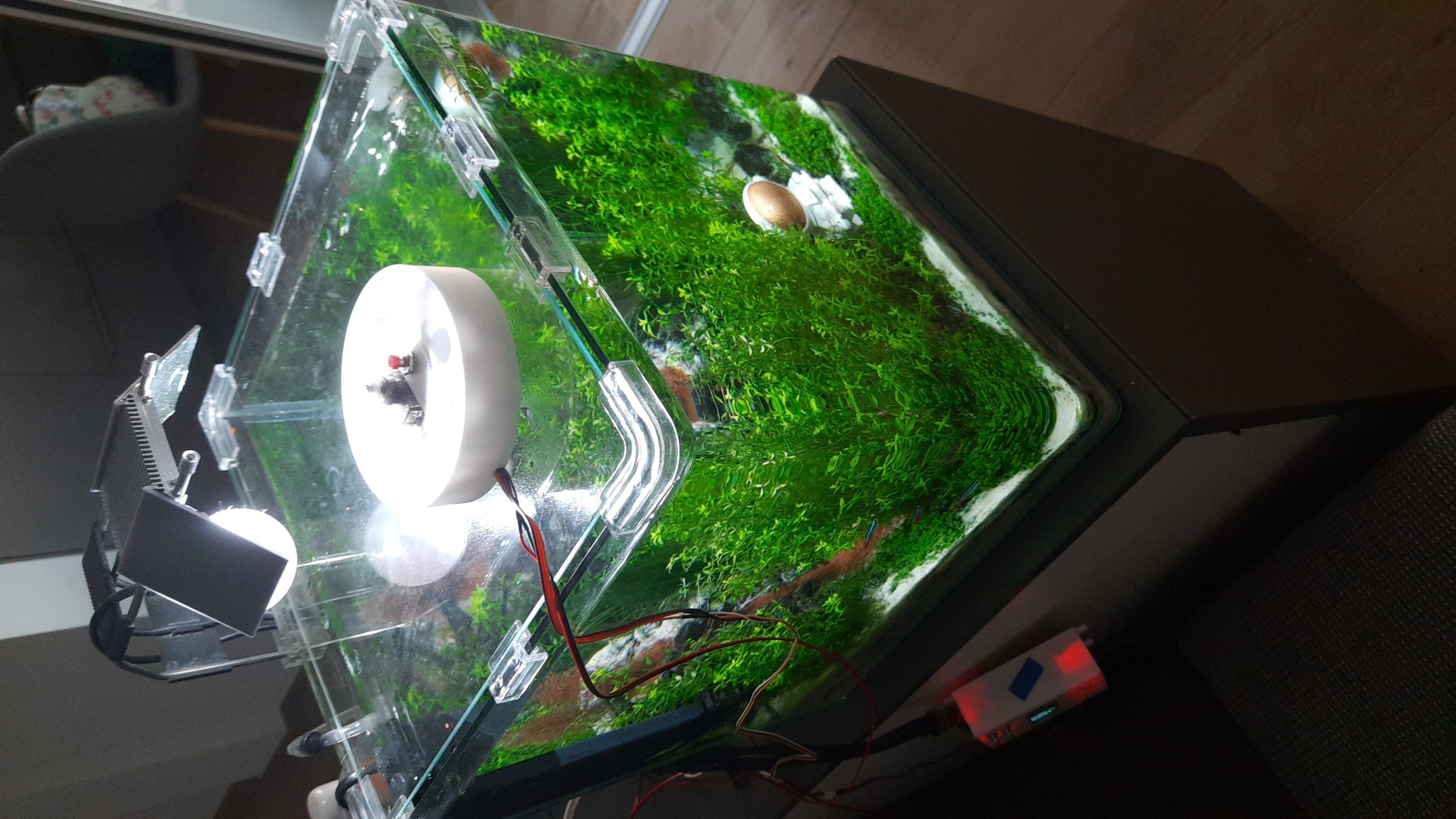 Automatic feeder 3D print model_3