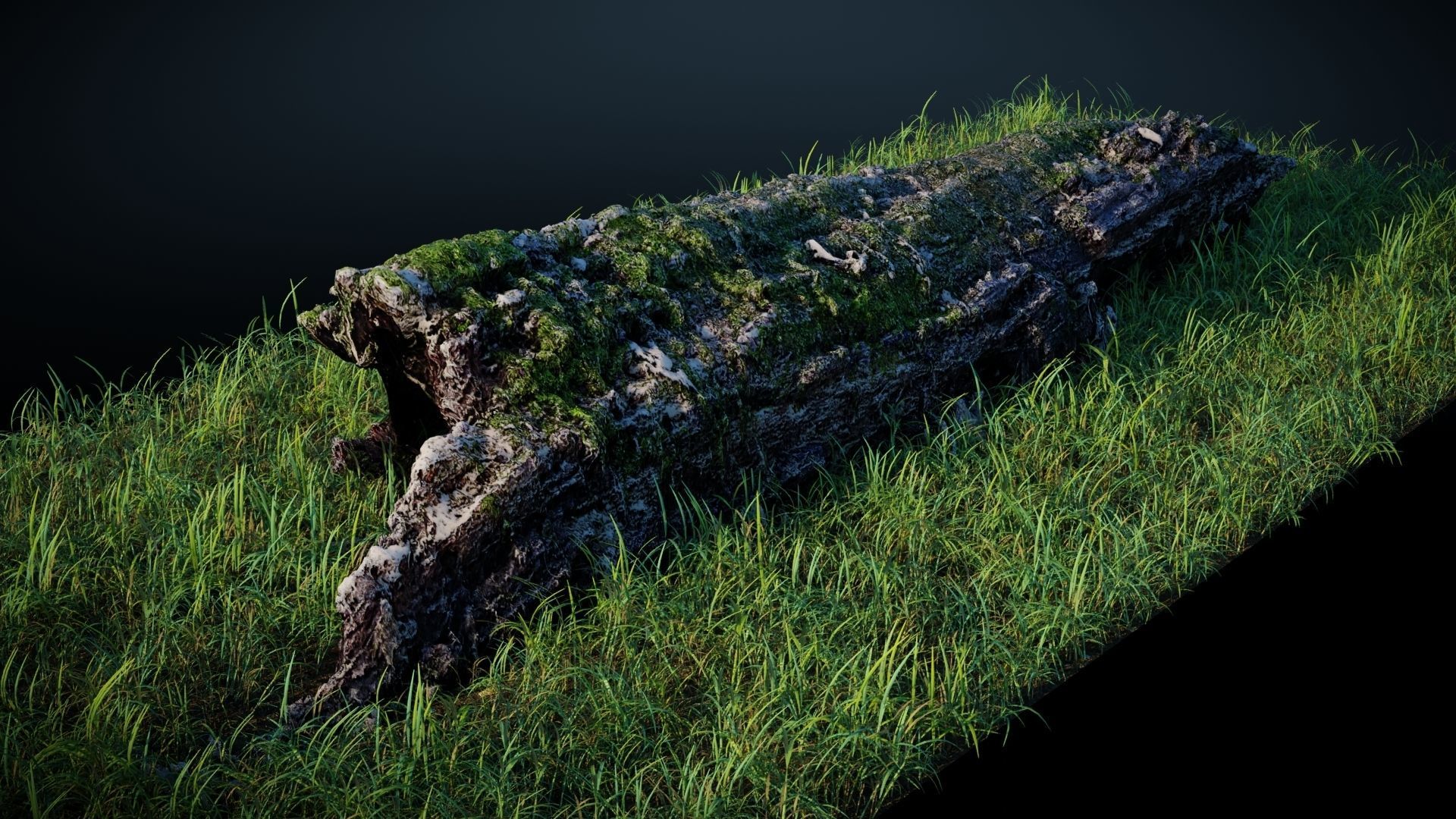 Mossy Log 3D model_2