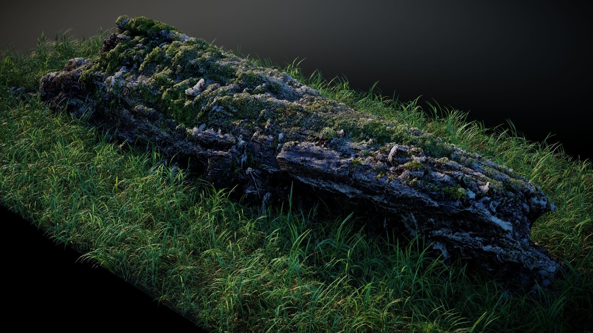 Mossy Log 3D model_3