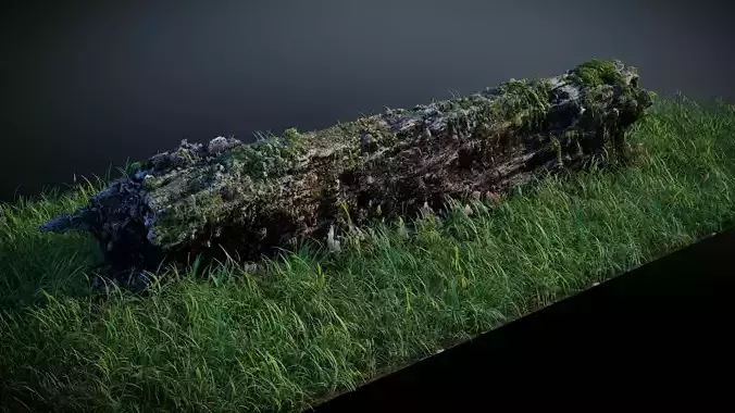 Mossy Log 3D model