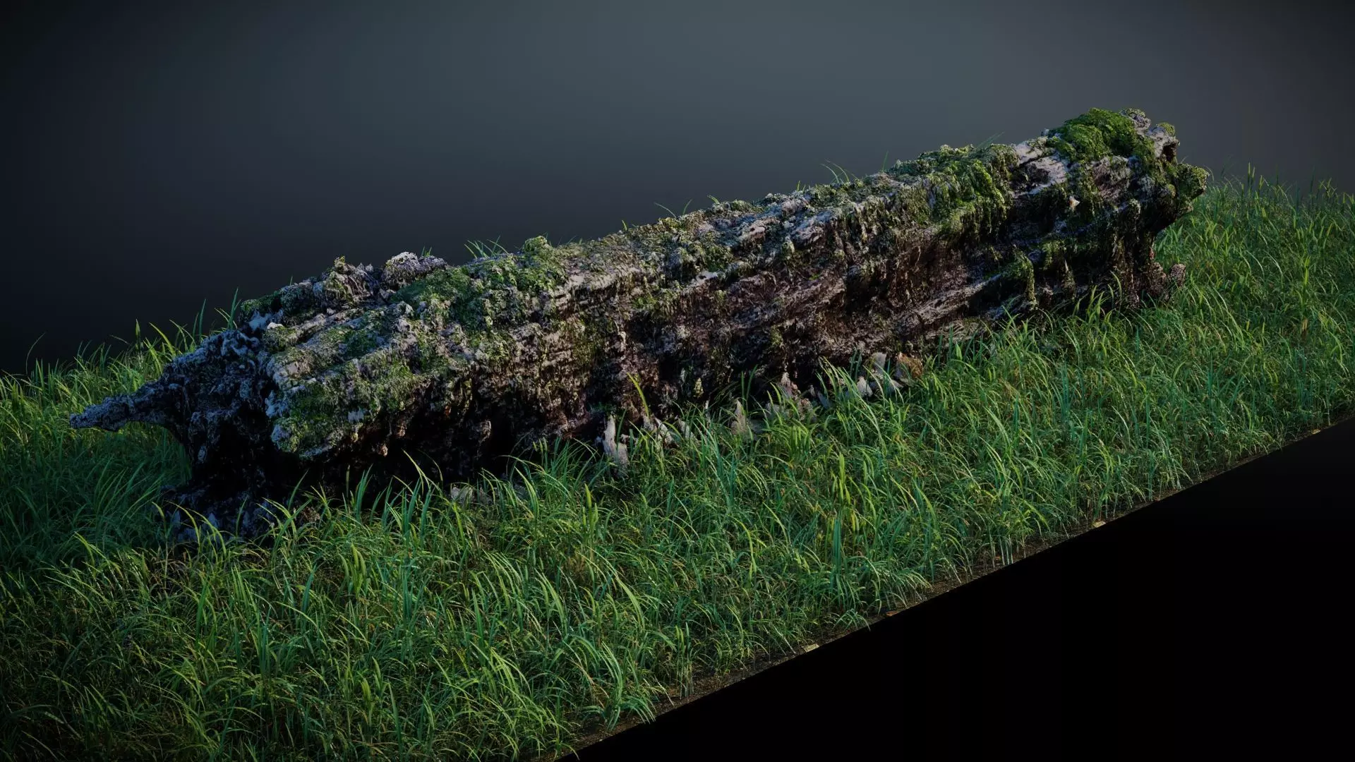 Mossy Log 3D model_0