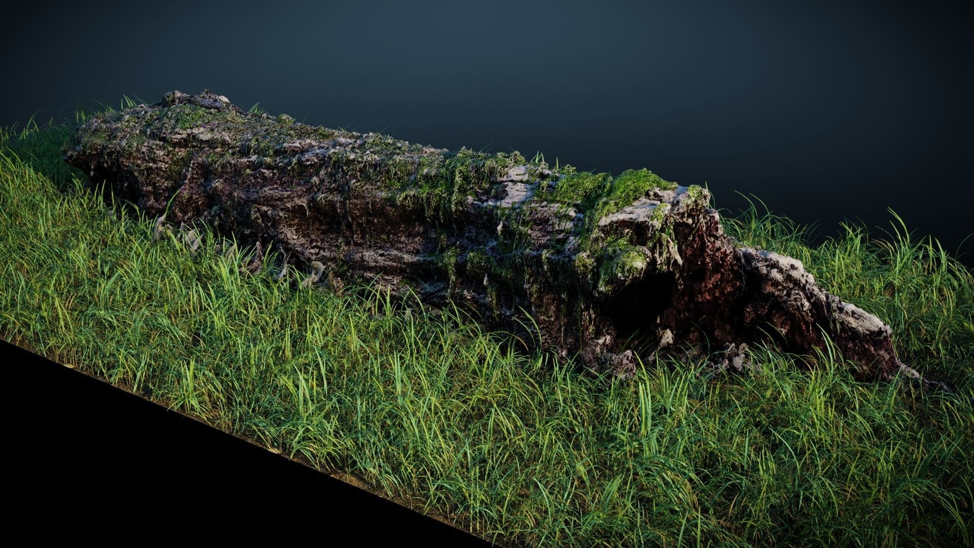 Mossy Log 3D model_1