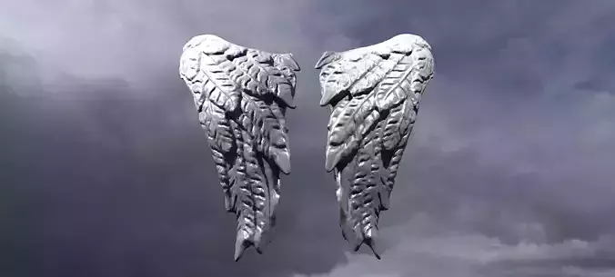 Sculpted Angel Wings cherub 3D model