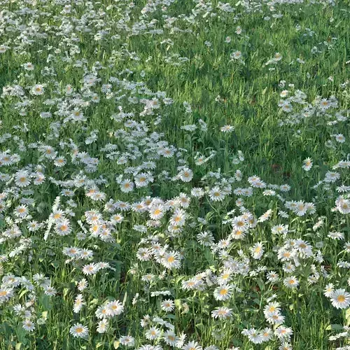 Grass set with  flower01