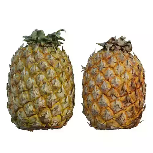 pineapple two pineapples
