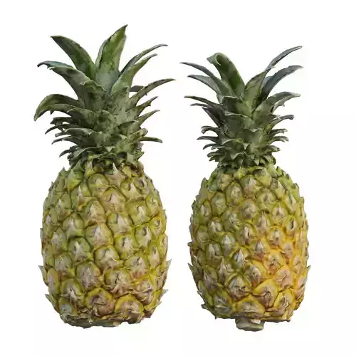 pineapple 02