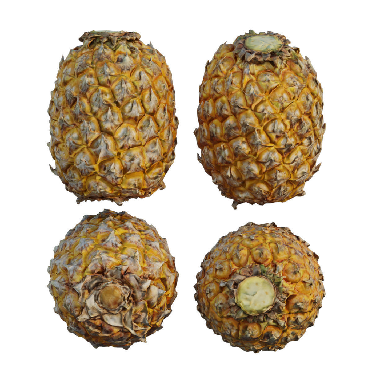 pineapple 03 3D model_1