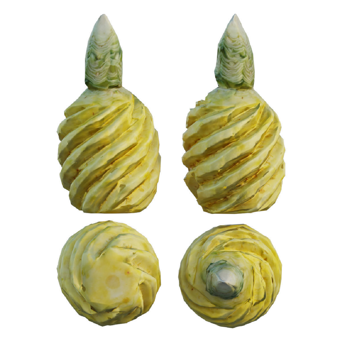 pineapple 03 3D model_3