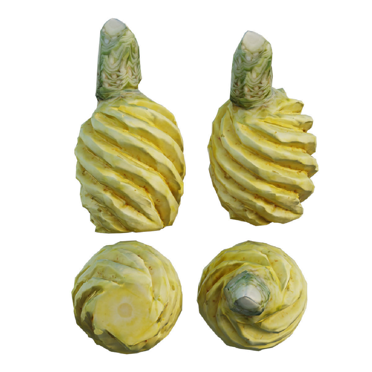 pineapple 03 3D model_2