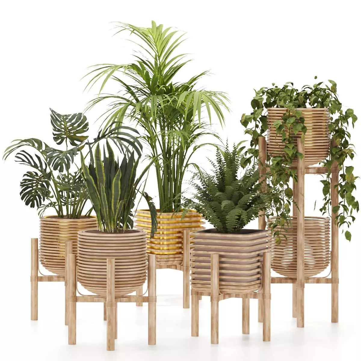 Plant-Collection-01 three wooden planters Free 3D model