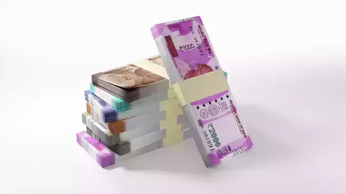 Indian rupees notes