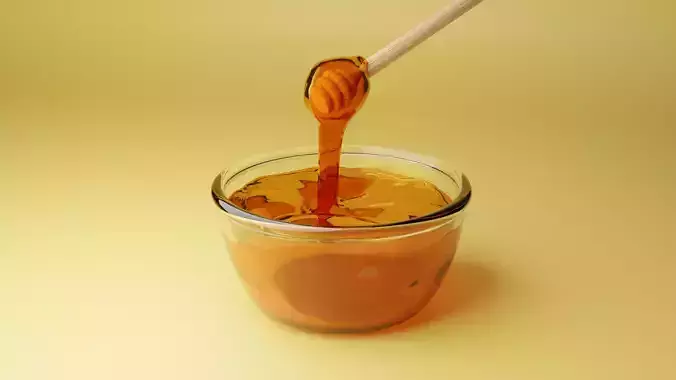 Honey Bowl 3D model