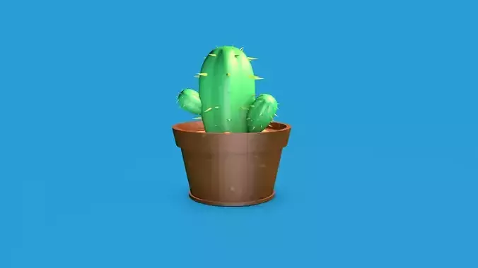 Cactus in a vase