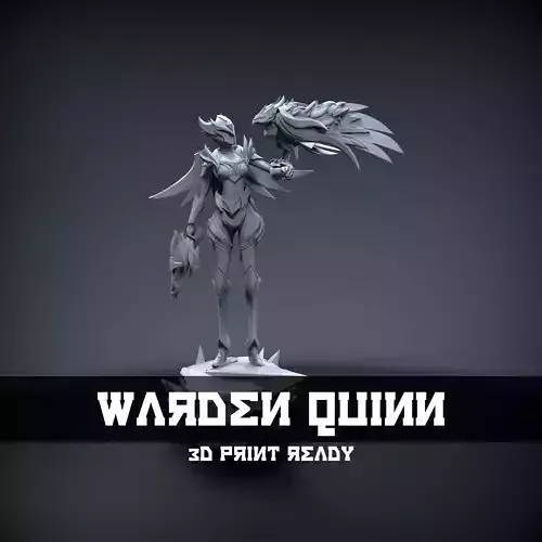 STL Warden quinn League of Legends