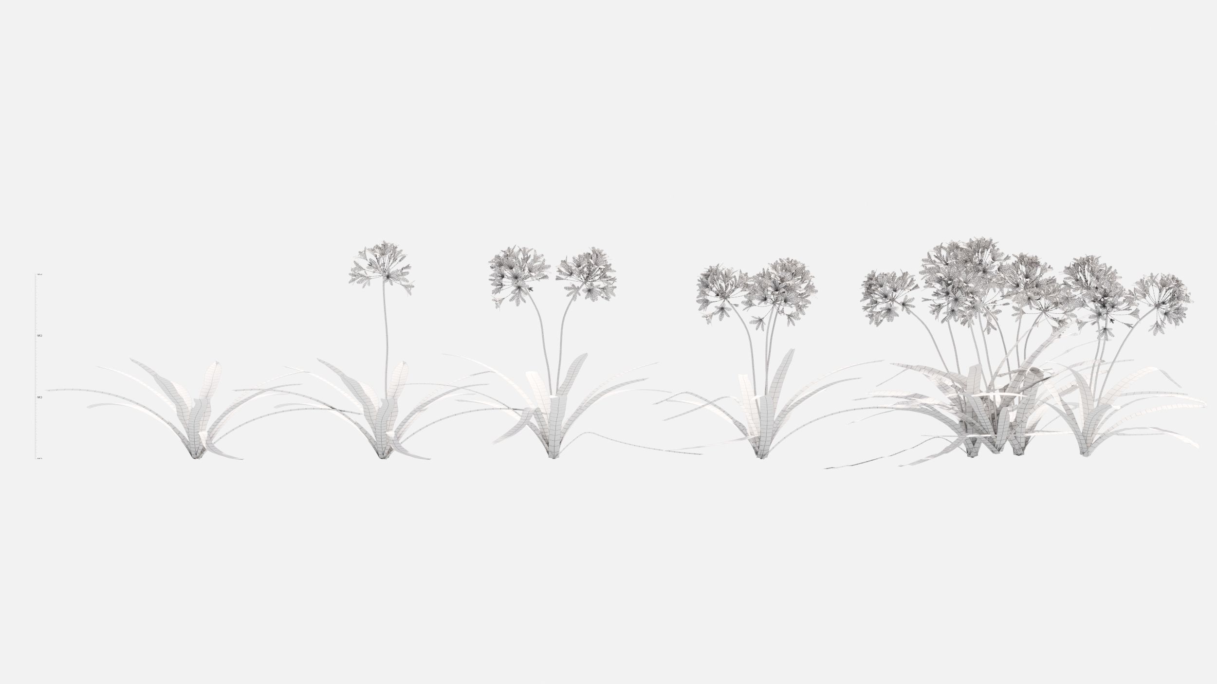Agapanthus Flower 3D model_7