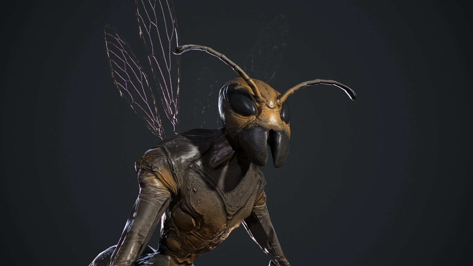 Insect Creature Low-poly 3D model_11