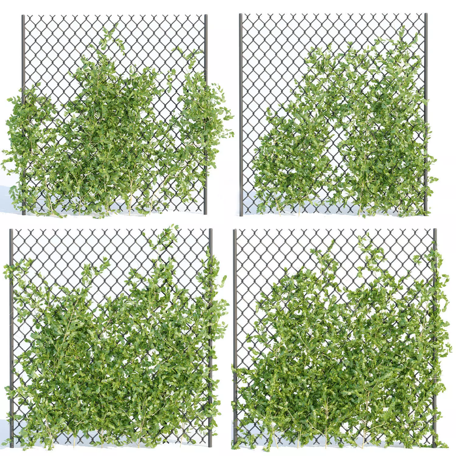 Ivy-fence collection vol 123 3D model
